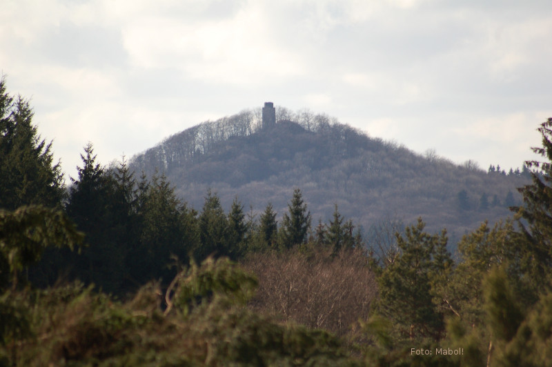 Hohe Acht (Eifel)